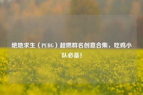绝地求生(PUBG)超燃群名创意合集,吃鸡小队必备!