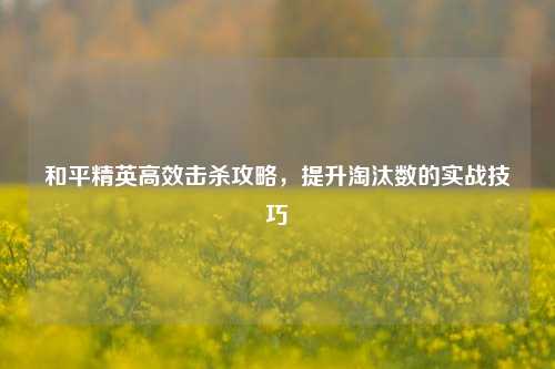 和平精英高效击杀攻略,提升淘汰数的实战技巧