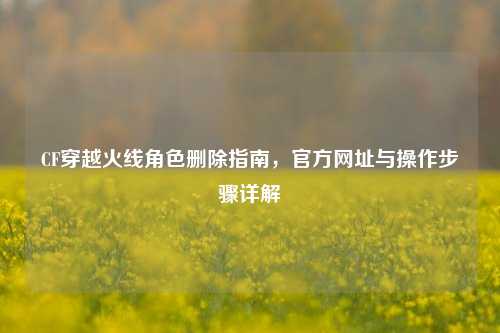 CF穿越火线角色删除指南,官方网址与操作步骤详解