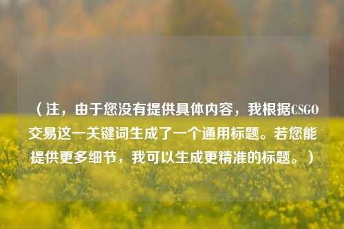 (注,由于您没有提供具体内容,我根据CSGO交易这一关键词生成了一个通用标题。若您能提供更多细节,我可以生成更精准的标题。)