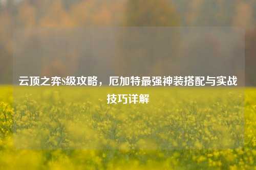 云顶之弈S级攻略,厄加特最强神装搭配与实战技巧详解