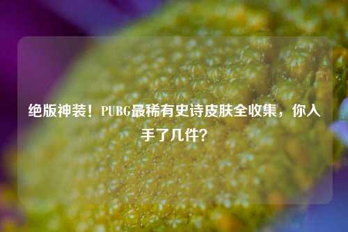 绝版神装!PUBG最稀有史诗皮肤全收集,你入手了几件?