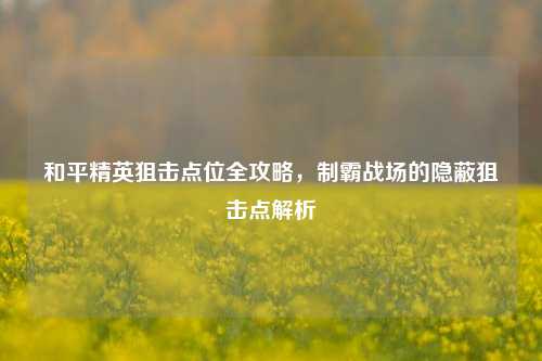 和平精英狙击点位全攻略,制霸战场的隐蔽狙击点解析