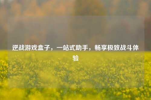 逆战游戏盒子,一站式助手,畅享极致战斗体验