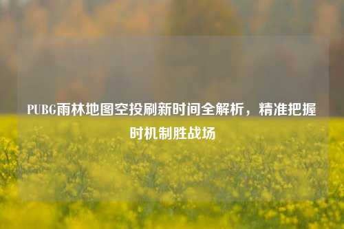 PUBG雨林地图空投刷新时间全解析,精准把握时机制胜战场