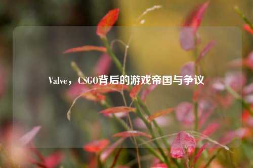 Valve,CSGO背后的游戏帝国与争议