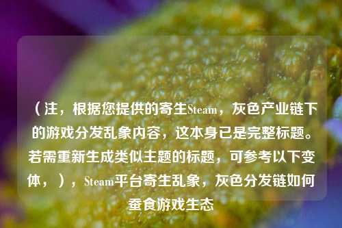 (注,根据您提供的寄生Steam,灰色产业链下的游戏分发乱象内容,这本身已是完整标题。若需重新生成类似主题的标题,可参考以下变体,),Steam平台寄生乱象,灰色分发链如何蚕食游戏生态