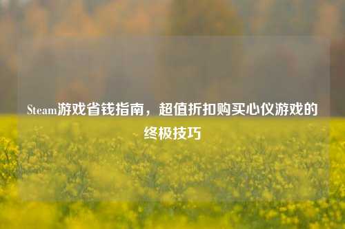 Steam游戏省钱指南,超值折扣购买心仪游戏的终极技巧