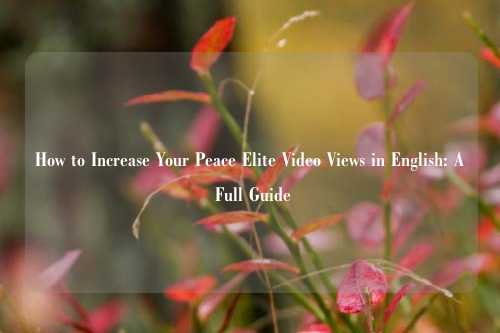 How to Increase Your Peace Elite Video Views in English: A Full Guide