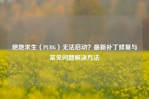 绝地求生(PUBG)无法启动?最新补丁修复与常见问题解决 ***