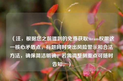 (注,根据您之前提到的免费获取Steam权限这一核心矛盾点,标题同时突出风险警示和合法 *** ,确保简洁明确。若需调整侧重点可随时告知。)