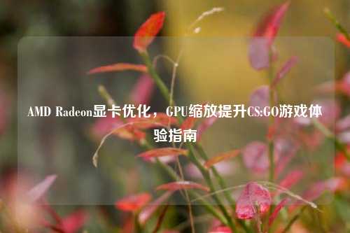 AMD Radeon显卡优化,GPU缩放提升CS:GO游戏体验指南