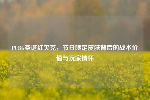 PUBG圣诞红夹克,节日限定皮肤背后的战术价值与玩家情怀