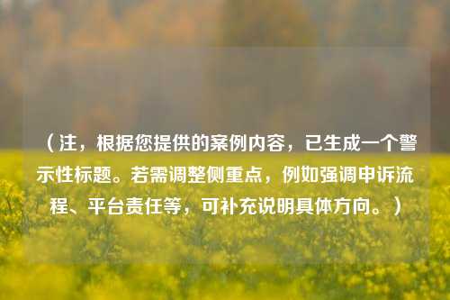 (注,根据您提供的案例内容,已生成一个警示性标题。若需调整侧重点,例如强调申诉流程、平台责任等,可补充说明具体方向。)