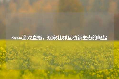 Steam游戏直播,玩家社群互动新生态的崛起