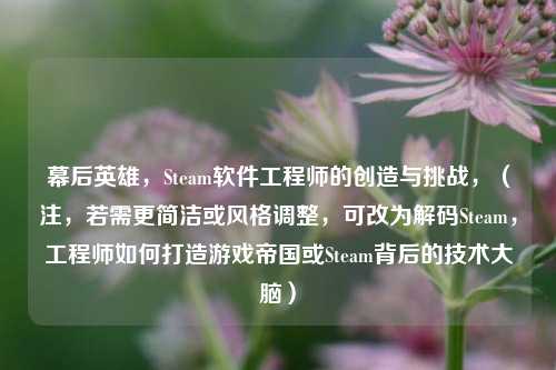 幕后英雄,Steam软件工程师的创造与挑战,(注,若需更简洁或风格调整,可改为解码Steam,工程师如何打造游戏帝国或Steam背后的技术大脑)