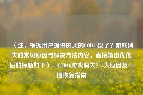(注,根据用户提供的买的COD16没了?游戏消失的常见原因与解决 *** 内容,直接输出优化后的标题如下),COD16游戏消失?5大原因及一键恢复指南
