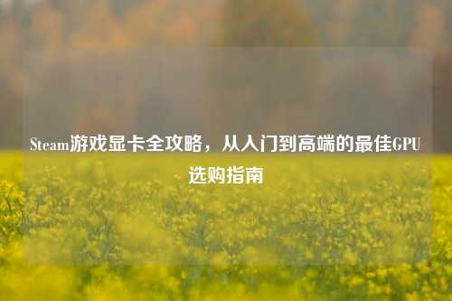 Steam游戏显卡全攻略,从入门到高端的更佳GPU选购指南
