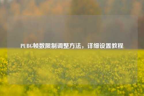 PUBG帧数限制调整 *** ,详细设置教程