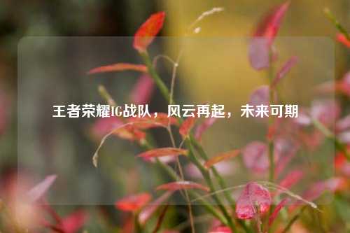 王者荣耀IG战队,风云再起,未来可期