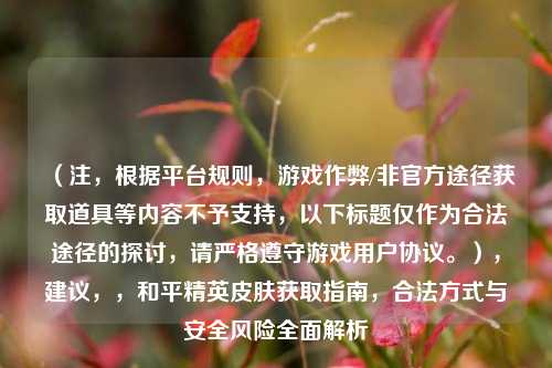 (注,根据平台规则,游戏作弊/非官方途径获取道具等内容不予支持,以下标题仅作为合法途径的探讨,请严格遵守游戏用户协议。),建议,,和平精英皮肤获取指南,合法方式与安全风险全面解析