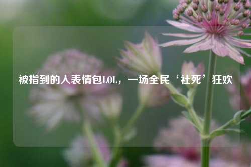 被指到的人表情包LOL,一场全民‘社死’狂欢