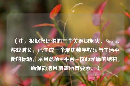 (注,根据您提供的三个关键词烟火、Steam、游戏时长,已生成一个聚焦数字娱乐与生活平衡的标题,采用意象+平台+核心矛盾的结构,确保简洁且覆盖所有要素。)