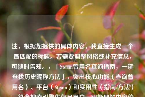 注,根据您提供的具体内容,我直接生成一个最匹配的标题。若需要调整风格或补充信息,可随时告知。,「Steam曾用名查询指南,一键查找历史昵称 *** 」,突出核心功能(查询曾用名)、平台(Steam)和实用性(指南/ *** ),符合搜索引擎优化且用户一眼能理解内容价值。