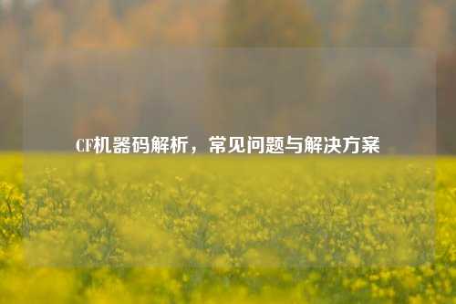 CF机器码解析,常见问题与解决方案