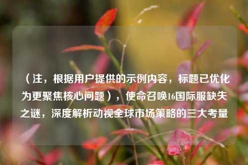 (注,根据用户提供的示例内容,标题已优化为更聚焦核心问题),使命召唤16国际服缺失之谜,深度解析动视全球市场策略的三大考量
