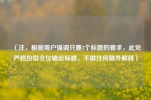 (注,根据用户强调只要1个标题的要求,此处严格按指令仅输出标题,不做任何额外解释)