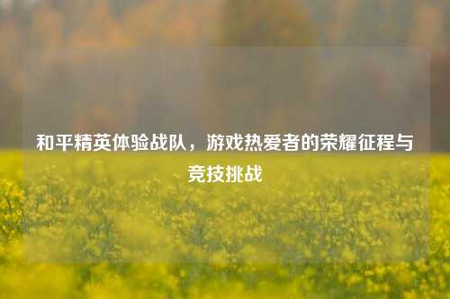 和平精英体验战队,游戏热爱者的荣耀征程与竞技挑战