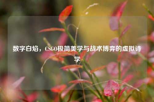 数字白焰,CSGO极简美学与战术博弈的虚拟诗学