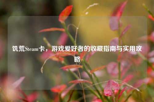饥荒Steam卡,游戏爱好者的收藏指南与实用攻略