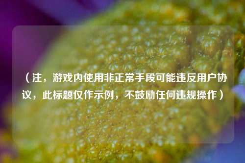 (注,游戏内使用非正常手段可能违反用户协议,此标题仅作示例,不鼓励任何违规操作)