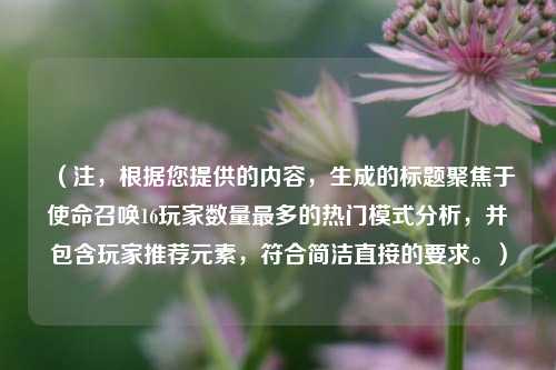 (注,根据您提供的内容,生成的标题聚焦于使命召唤16玩家数量最多的热门模式分析,并包含玩家推荐元素,符合简洁直接的要求。)