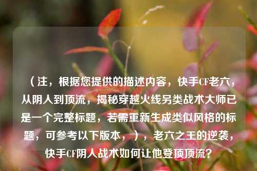 (注,根据您提供的描述内容,快手CF老六,从阴人到顶流,揭秘穿越火线另类战术***已是一个完整标题,若需重新生成类似风格的标题,可参考以下版本,),老六之王的逆袭,快手CF阴人战术如何让他登顶顶流?