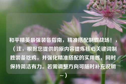 和平精英最强装备指南,精准搭配制霸战场!,(注,根据您提供的原内容提炼核心关键词制胜装备吃鸡,并强化精准搭配的实用感,同时保持简洁有力。若需调整方向可随时补充说明~)