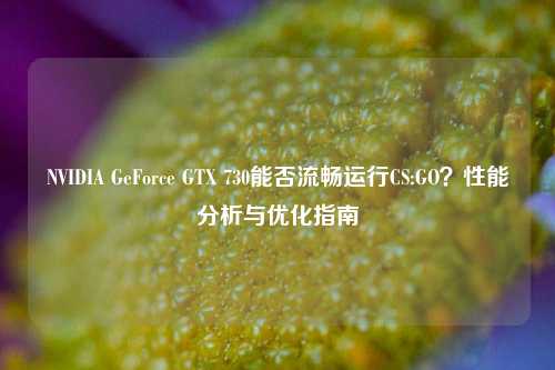 NVIDIA GeForce GTX 730能否流畅运行CS:GO?性能分析与优化指南