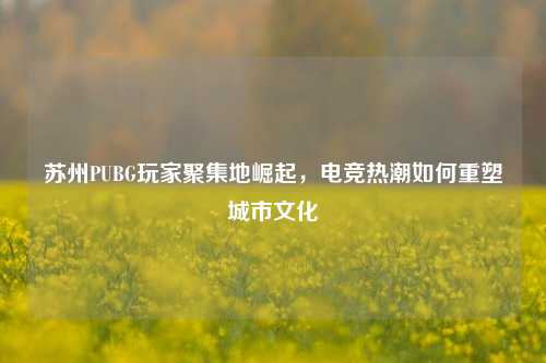 苏州PUBG玩家聚集地崛起,电竞热潮如何重塑城市文化