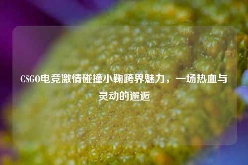 CSGO电竞***碰撞小鞠跨界魅力,一场热血与灵动的邂逅