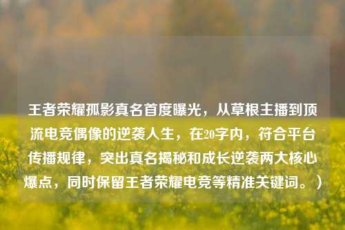 王者荣耀孤影真名首度曝光,从草根主播到顶流电竞偶像的逆袭人生,在20字内,符合平台传播规律,突出真名揭秘和成长逆袭两大核心爆点,同时保留王者荣耀电竞等精准关键词。)