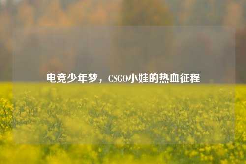 电竞少年梦,CSGO小娃的热血征程