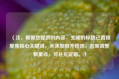 (注,根据您提供的内容,生成的标题已直接聚焦核心关键词,未添加额外修饰。若需调整侧重点,可补充说明。)