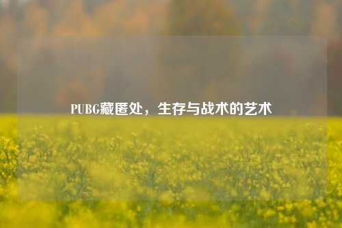 PUBG藏匿处,生存与战术的艺术