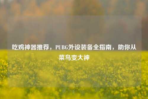 吃鸡神器推荐,PUBG外设装备全指南,助你从菜鸟变大神
