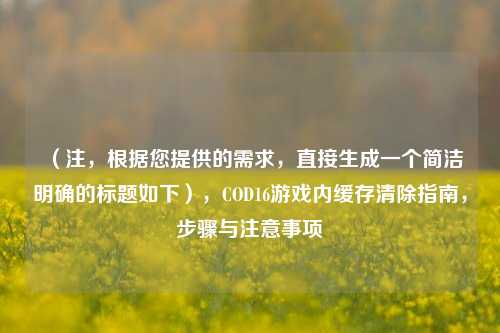 (注,根据您提供的需求,直接生成一个简洁明确的标题如下),COD16游戏内缓存清除指南,步骤与注意事项