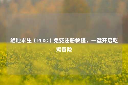 绝地求生(PUBG)免费注册教程,一键开启吃鸡冒险