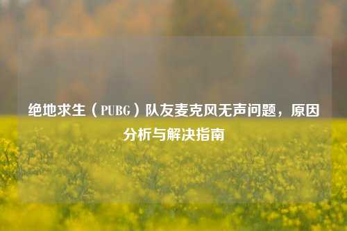绝地求生(PUBG)队友麦克风无声问题,原因分析与解决指南