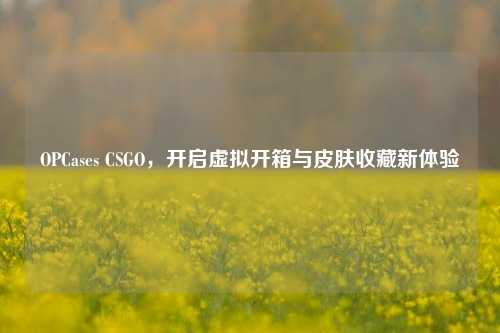 OPCases CSGO,开启虚拟开箱与皮肤收藏新体验